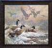 Animals and Birds