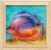 Tropical Fish