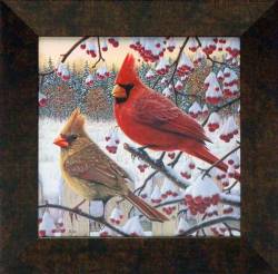 Winter Cardinals