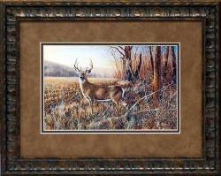 Bluff Country Buck
