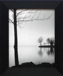 Tranquil Cove
