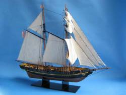 Dapper Tom 24"