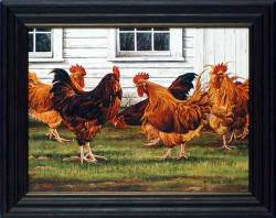 Rooster Coop