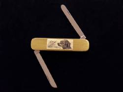 Scrimshaw Medium Pocket Knife