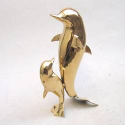 Dolphin and Baby