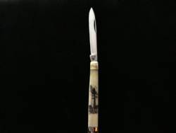 Scrimshaw Medium Folding Knife