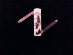 Scrimshaw 2 Blade Knife With Fossil Ivory Handle