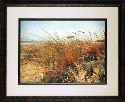 Sand Dunes II