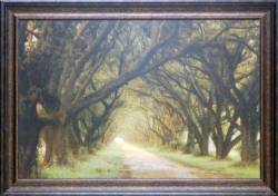 Evergreen Alley