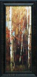 Birch Forest II