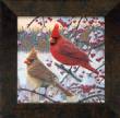 Winter Cardinals