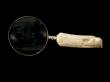Magnifying Glass Carved Eagle