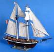 Baltimore Clipper Harvey Limited 36"