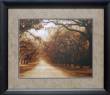 Savannah Oaks I