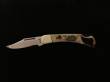 Scrimshaw Medium Folding Knife