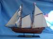 Prince de Neuchatel 24"