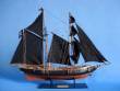 Ben Franklin's Black Prince Limited 24"