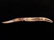 Scrimshaw Medium Folding Knife