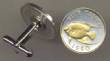 Bermuda 5 Cent Angel Fish Cuff Links