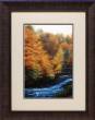 Autumn Stream