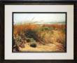 Sand Dunes I
