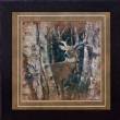 Birchwood Buck