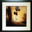 Twilight II