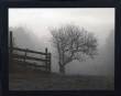 Mountain Meadow Farm